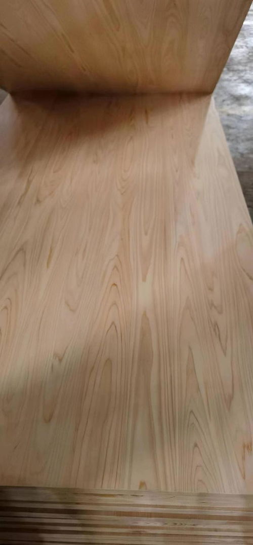 桧木地板与其他木质地板的比较与选择指南