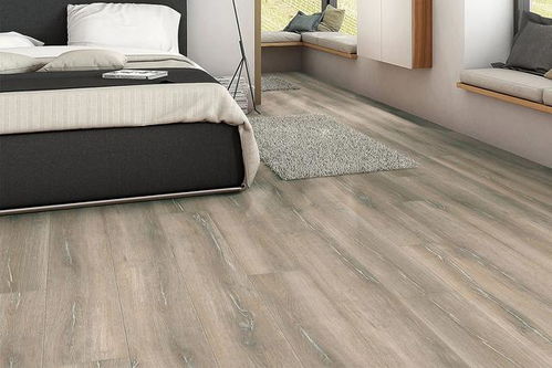 德国Haro品牌木地板 品质与设计的完美融合,畅销全国